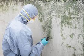 Best HVAC Mold Inspection and Cleaning  in Grants, NM